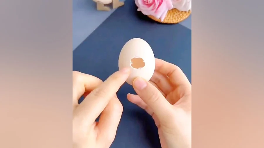 کاردستی با پوست تخم مرغ برای مدرسه؛ کاردستی با وسایل دورریختنی برای مدرسه؛ کاردستی دایناسور