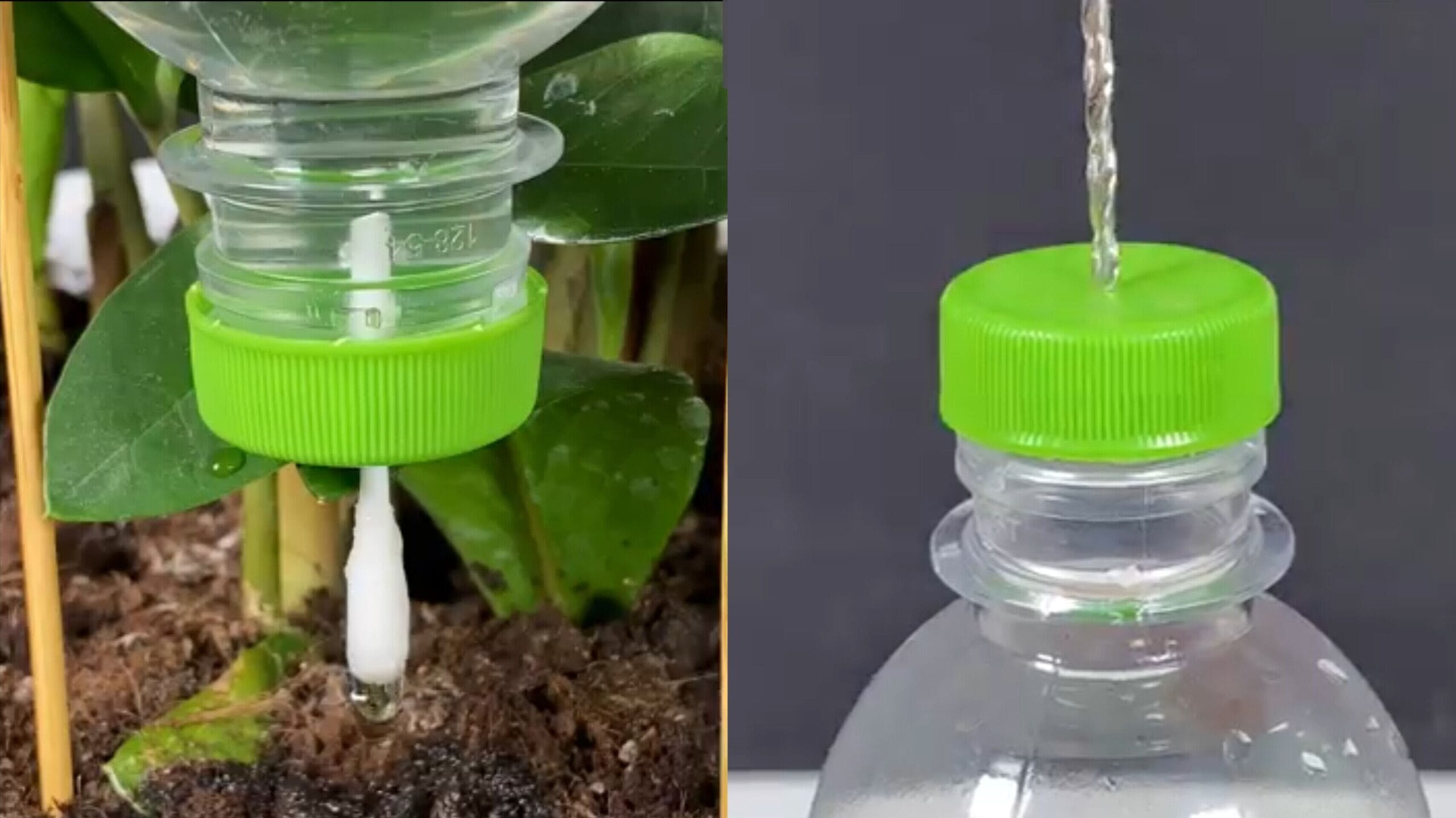 ساخت آبیاری قطره‌ای ساده با بطری آب و گوش پاک‌کن برای گلدان