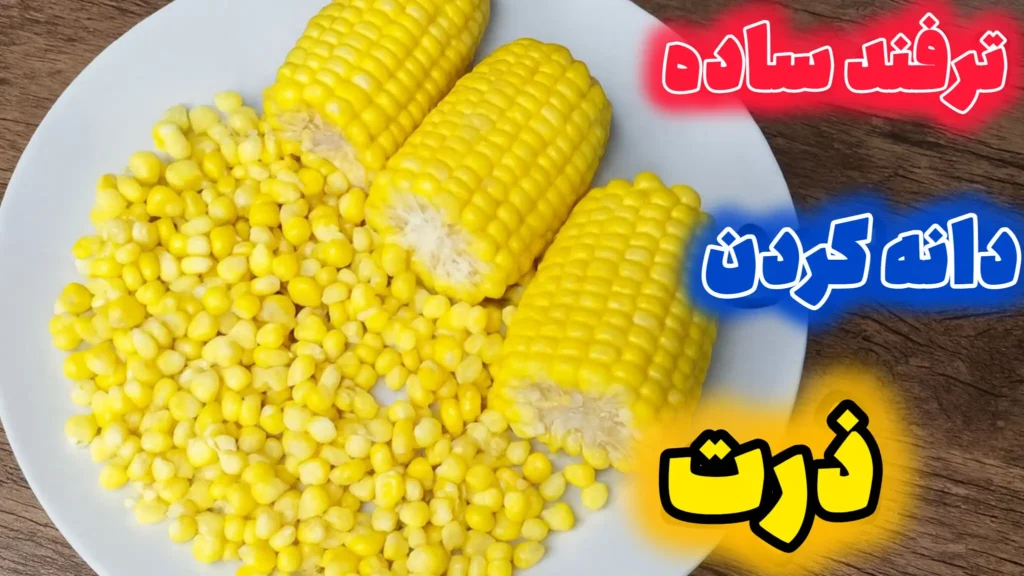 سه تکه بلال زرد و حجم زیادی از دانه‌های ذرت جدا شده در بشقاب سفید برای آموزش روش صحیح و سریع دانه کردن ذرت بدون له شدگی